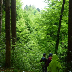 04 Froeschli 09 05 15