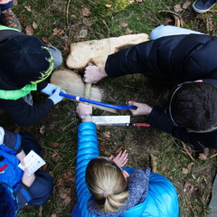 025 CeviTag2015