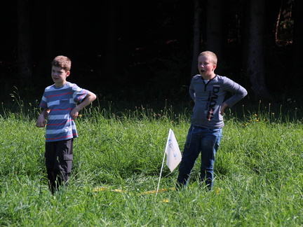 IMG 7181
