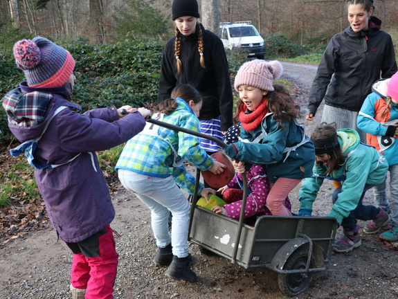 013 Cevi WaWei 14122019