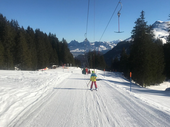 131 Skilager 2019