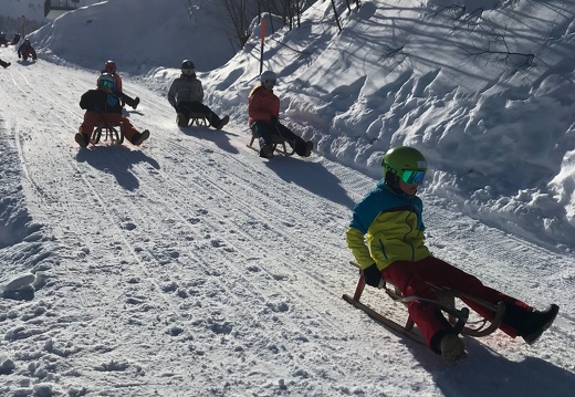240 Skilager 2019