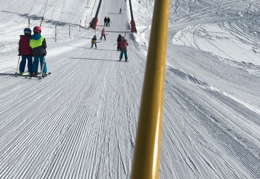 299 Skilager 2019