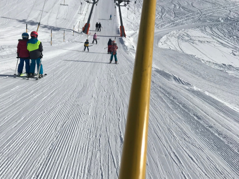 299 Skilager 2019