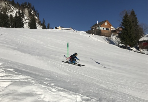 328 Skilager 2019