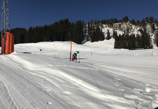 329 Skilager 2019