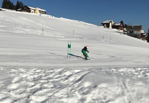 330 Skilager 2019
