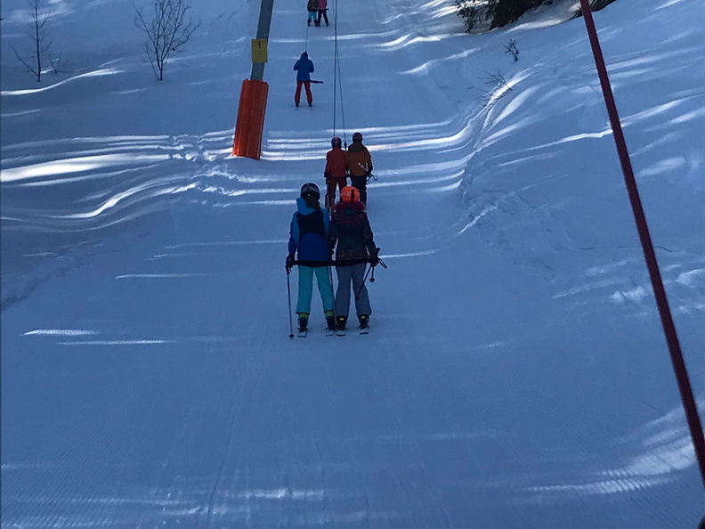 331 Skilager 2019