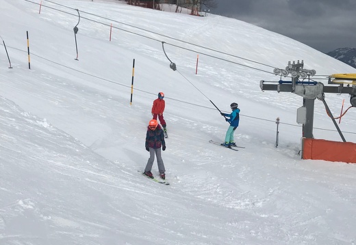 449 Skilager 2019