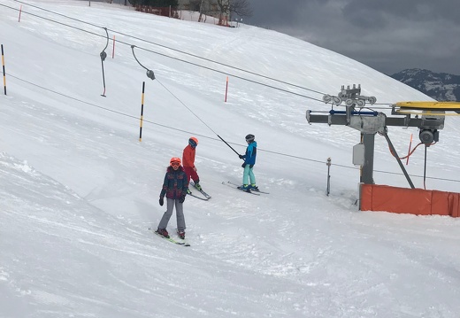 450 Skilager 2019