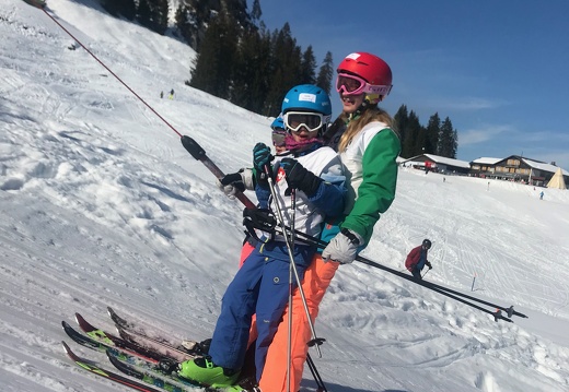 461 Skilager 2019