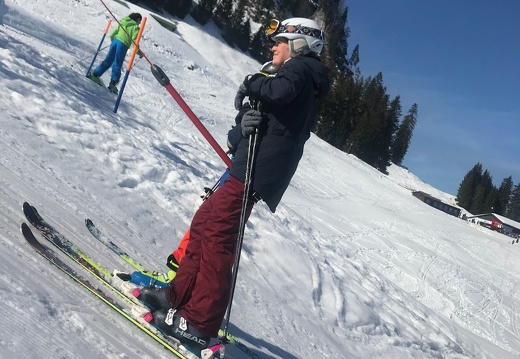 463 Skilager 2019
