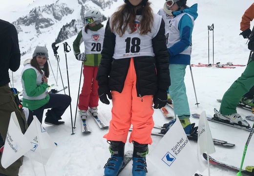 499 Skilager 2019