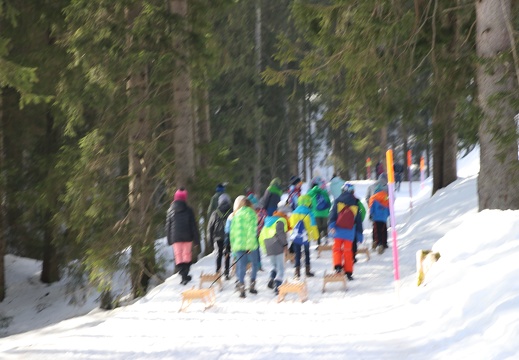 647 Skilager 2019