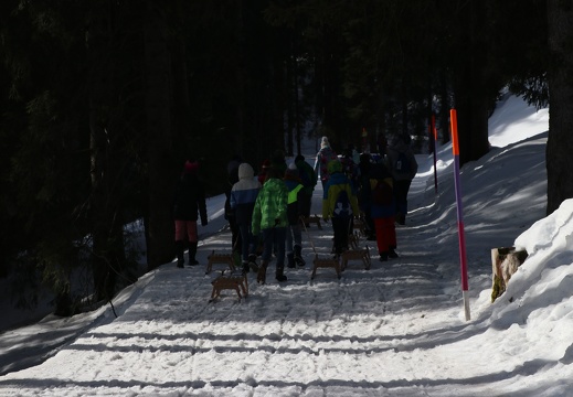 648 Skilager 2019